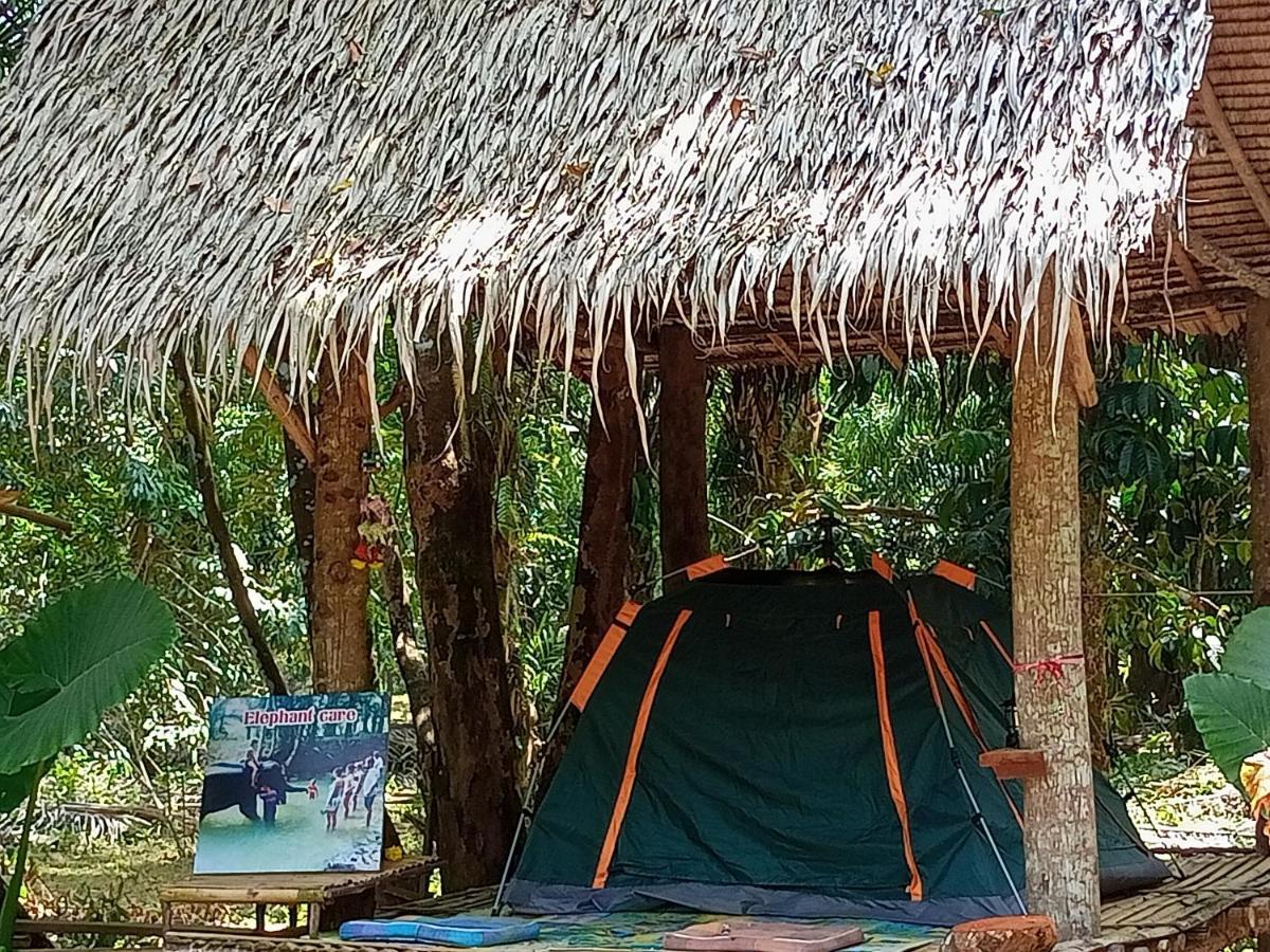 Wassana Camp & Khai Jungle Experience Ban Kraison Exterior photo